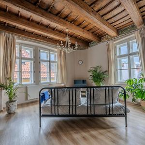 Appartement met een Slaapkamer
